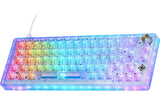 Deltaco TKL Gaming Keyboard mech RGB, trans CH-Layout, mechanisch, RGB, Transparent
