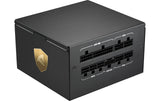 Netzteil Sharkoon Rebel P20 Plat.1000 ATX 3.1, 80 PLUS Plat., 120mm Lüfter