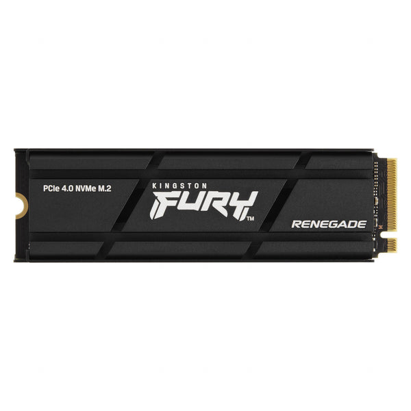 Kingston FURY Renegade avec Heatsink (1000 Go, M.2 2280)